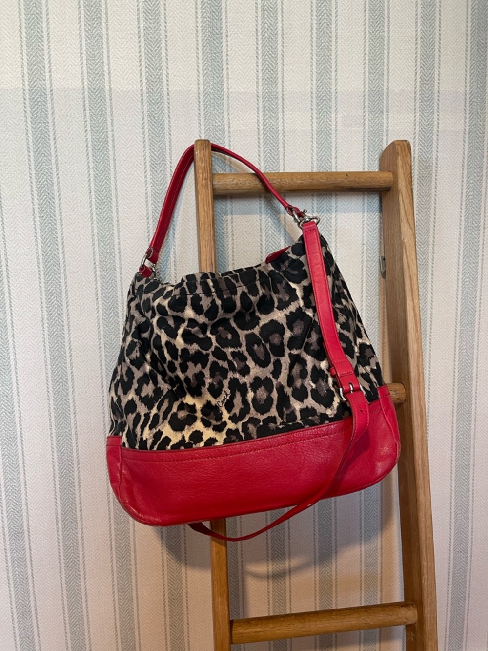 Coach Vintage Y2K 00s Parker Ocelot Print Hobo Bag featuring red leather trim